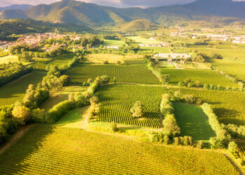 Italy’s hardest-hit Covid-19 region to become ‘hydrogen valley’