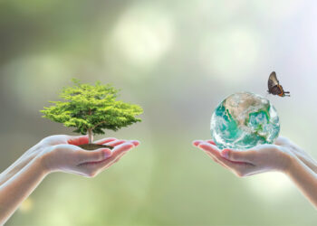 Action plan launched to restore ecosystems in Latin America and the Caribbean