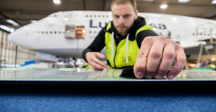 Fly like a shark? Jets to be fitted with sharkskin-inspired coating to reduce emissions
