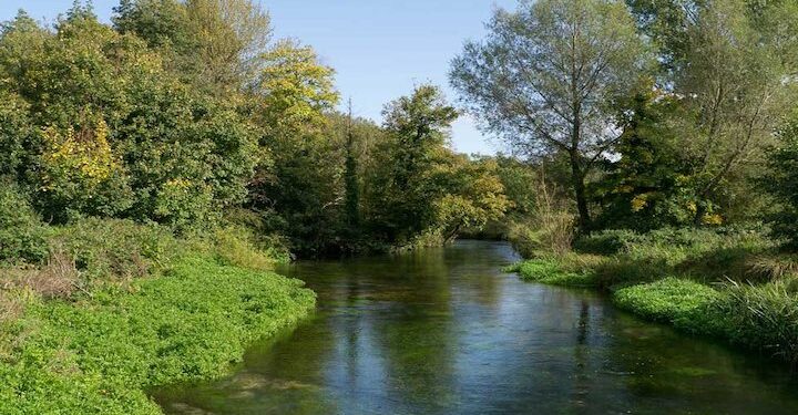 Environment Bill: New legal duties on water companies to tackle sewage discharges