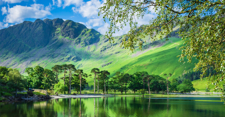 Office for Environmental Protection: Government appoints first new board members