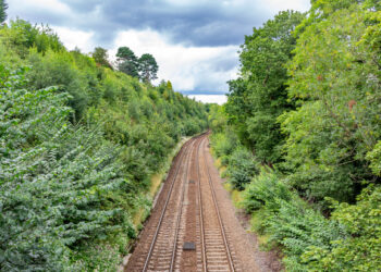 All major national infrastructure projects ‘must embed biodiversity gain’