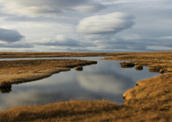 Scotland awards £22m to restore iconic peatlands to cut emissions
