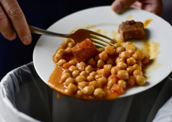 Insects to turn food waste into animal feed