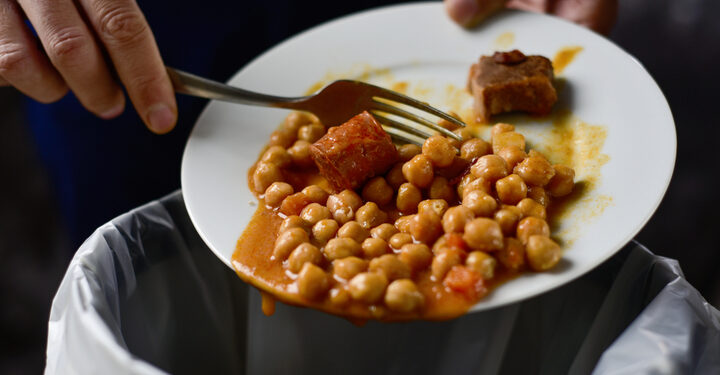 Insects to turn food waste into animal feed