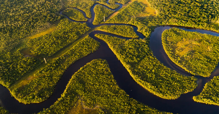 UK joins international alliance to reduce deforestation in the Peruvian Amazon rainforest