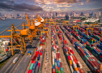 ‘The free market is crucial to tackling climate change, not green protectionism’