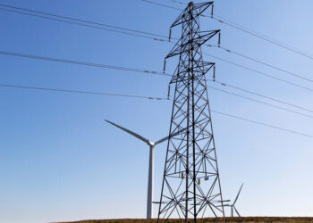 Government launches greenwashing crackdown