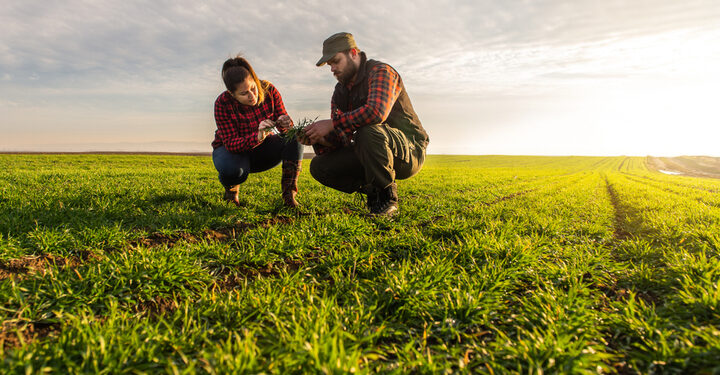 Yorkshire Water ties with farmers for ‘pop up rain forests’