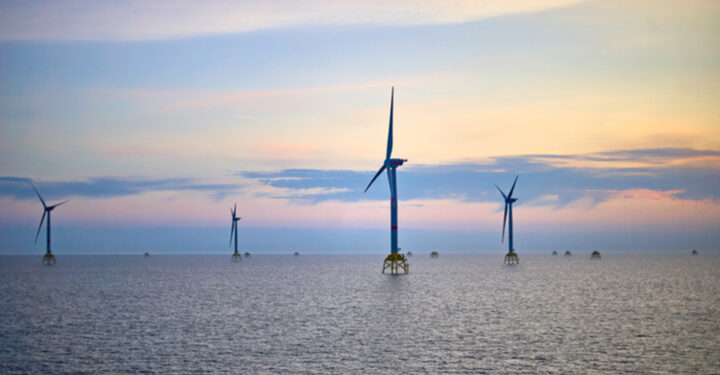 New £7m research to address effect of offshore wind farms on marine ecosystems
