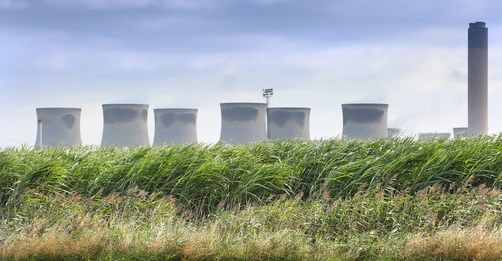 Drax joins forces with farmers to boost Britain’s energy crop market