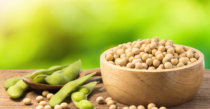 Chevron invests in soybean-to-renewable fuel venture