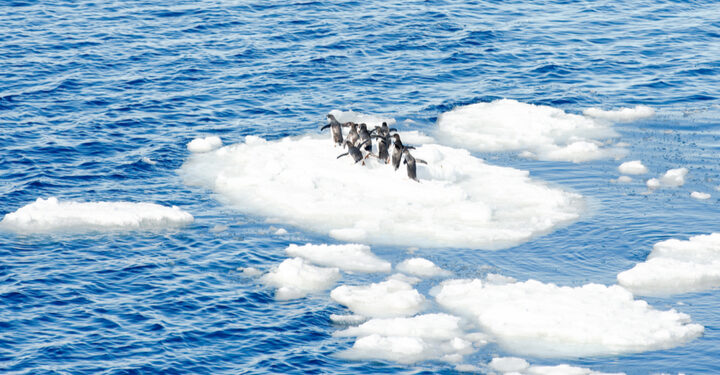 ‘Colder winters caused by Arctic global warming’