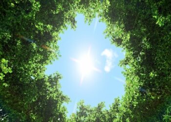 Circular economy programme launched in Turkey and Western Balkans