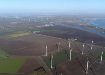 Government urged to make disclosure of net zero transition plans mandatory