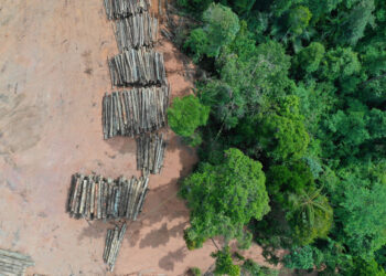 COP26 Live: Leaders of more than 100 countries commit to end deforestation by 2030