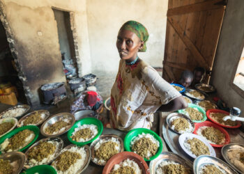 Clean African plates of food using LPG?