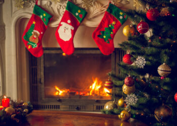 How sustainable is this year’s Christmas tree?