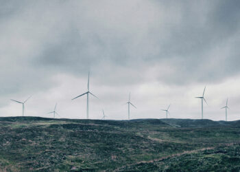 Windfarms generate record electricity as Storm Malik batters the UK