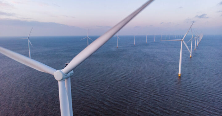‘Groundbreaking’ project to understand impact of wind farms on ecosystems