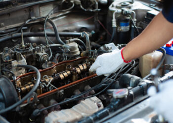 ‘Phasing out petrol cars is the wrong way to go’