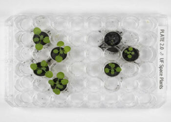 Plants on the Moon!