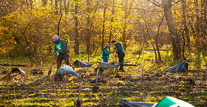 1,000 extra UK trees to help communities and hundreds of sites helped with water efficiency – through Water Plus partnership work