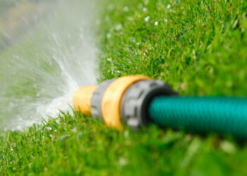 Millions of customers to be hit by new hosepipe ban