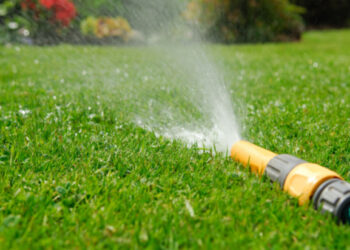 ‘Nearly 20m people could face hosepipe ban’