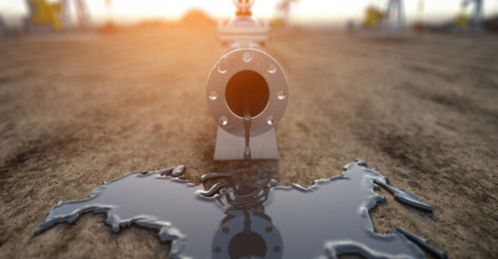 Sanctions ‘do not affect Russian oil exports much’