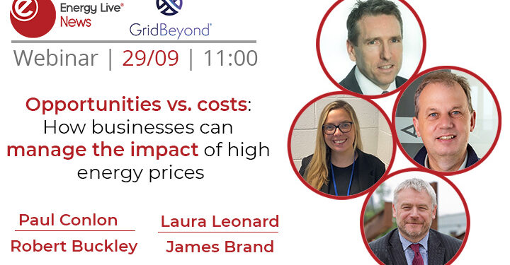 Webinar: Opportunities vs. costs: How businesses can manage the impact of high energy prices