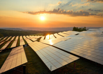 UK solar industry calls on Liz Truss to support renewables