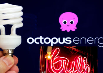 Octopus to take over collapsed supplier Bulb
