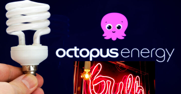 Octopus to take over collapsed supplier Bulb