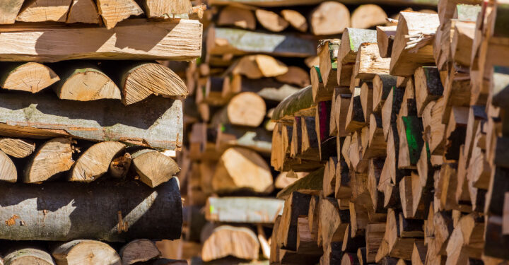 UK spent almost £2bn on bioenergy subsidies in 2021