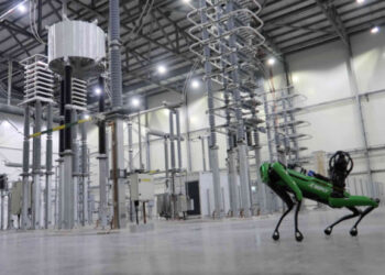 Who let the dogs out? National Grid did