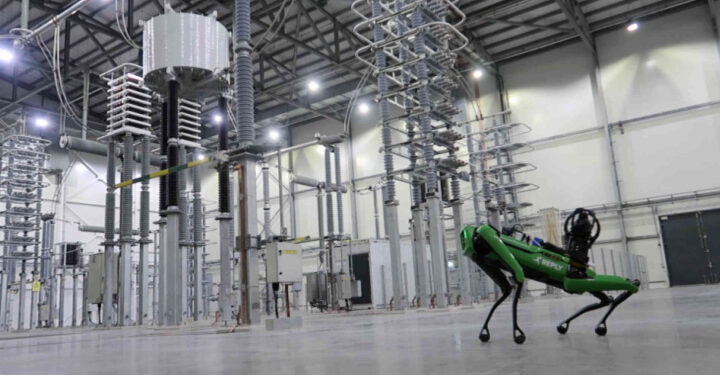 Who let the dogs out? National Grid did