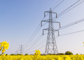Does the UK energy security plan live up to industry’s expectations?