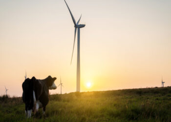 How will “Green Day” rock the UK’s energy sector?