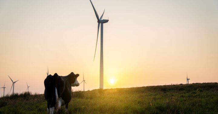 How will “Green Day” rock the UK’s energy sector?