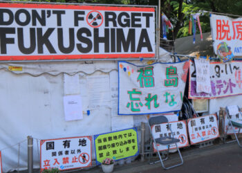 Fukushima now turning rice into low carbon plastic?
