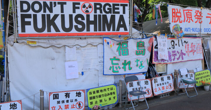 Fukushima now turning rice into low carbon plastic?