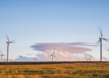 Wind power-ed: UK wind farms blow away competition with record Bank Holiday output