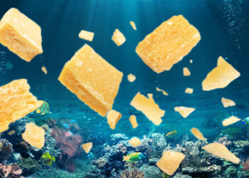 Cheese from the oceans?