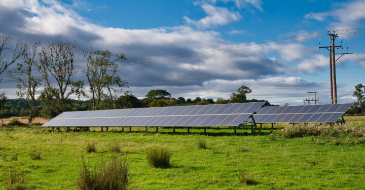 UK solar farms provide haven for wildlife, reveals national survey