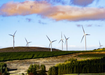 Scotland’s energy plan: ‘Lack of detail’ sparks call to action