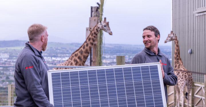 E.ON installs giant solar meadow at Edinburgh Zoo