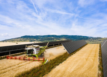 BayWa r.e. secures €6.5m EU funding for agri-PV projects