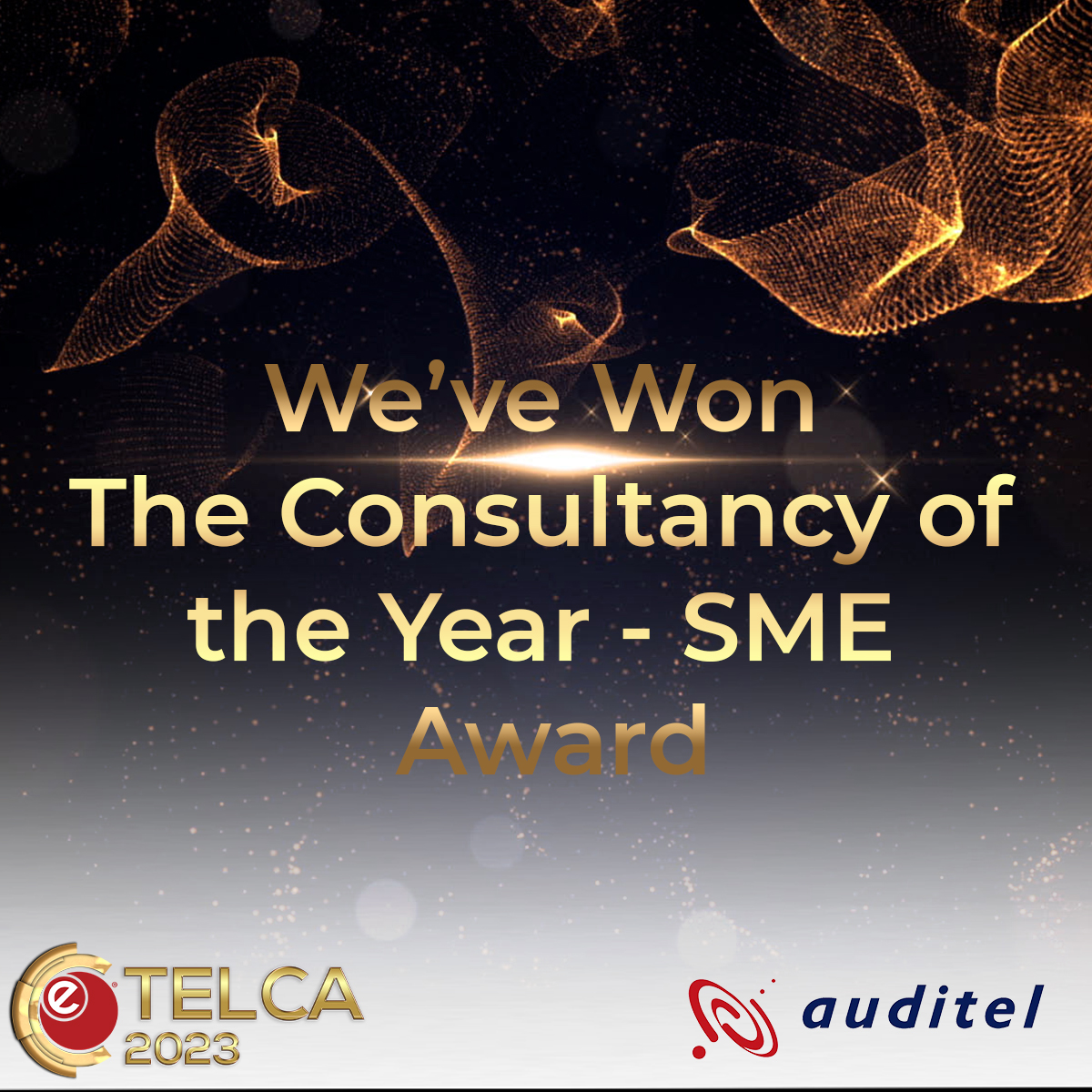 TELCA 23 - Winners - Consultancy of the Year SME