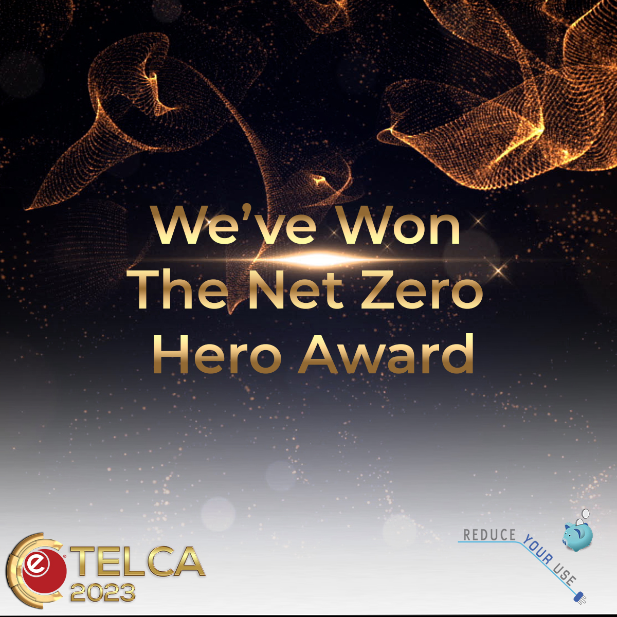 TELCA 23 - Winners - Net Zero Hero (1)